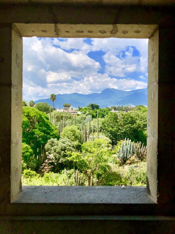 Beautiful Apartment In Oaxaca City'S Best Location Exterior photo