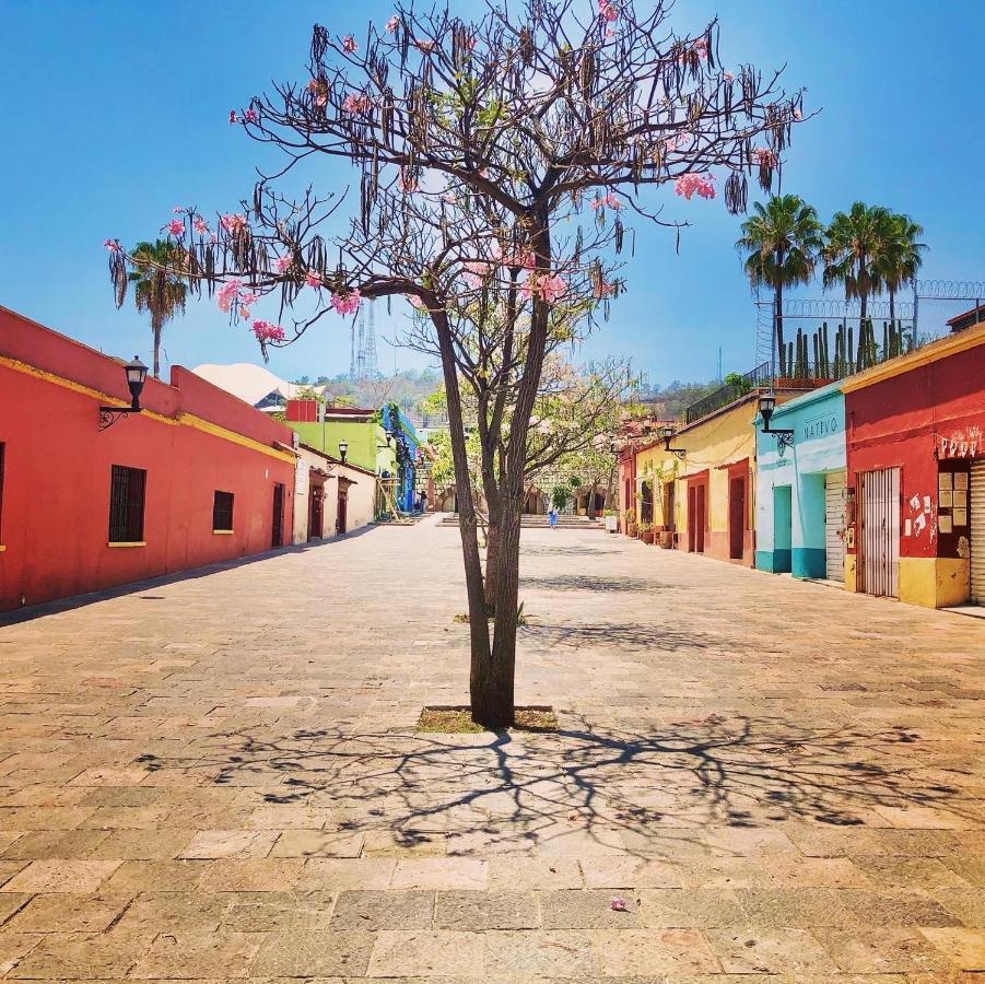 Beautiful Apartment In Oaxaca City'S Best Location Exterior photo